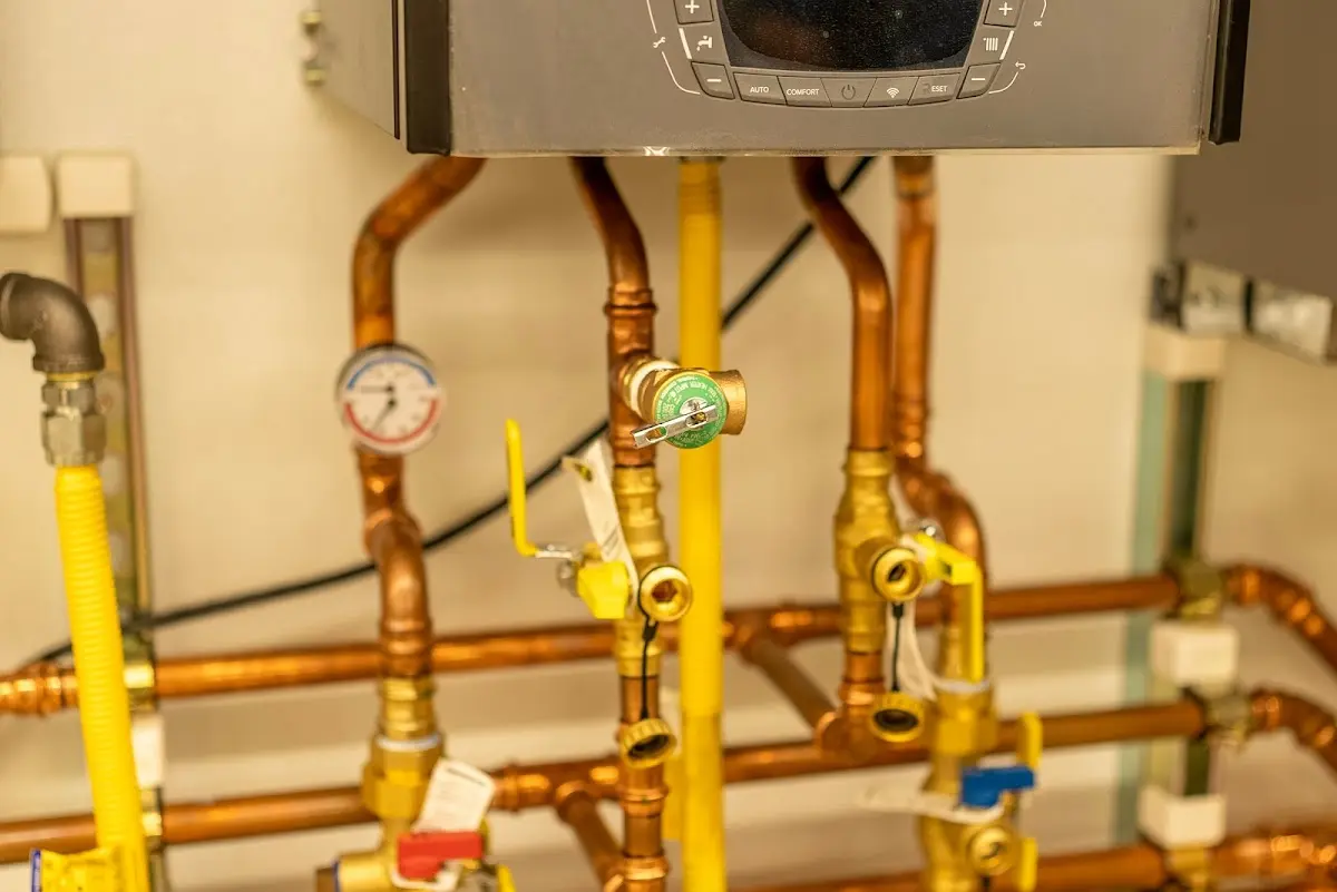 Licensed technician providing Emergency Plumbing for a homeowner in Gilmer